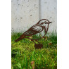 Singvogel