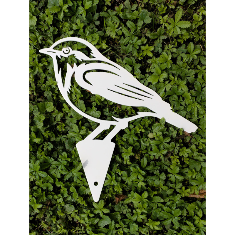 Singvogel