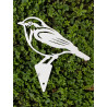 Singvogel