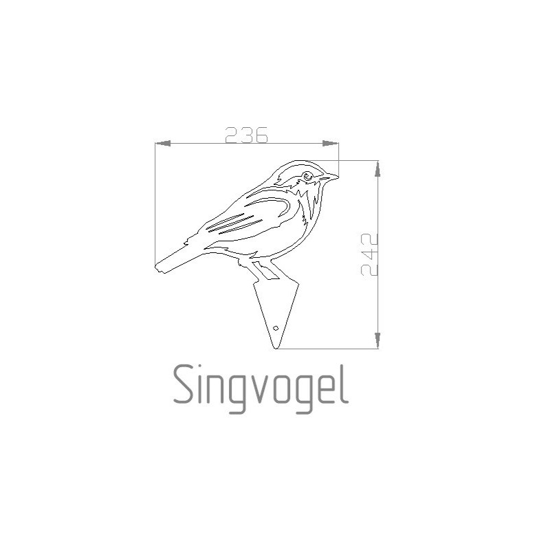 Singvogel